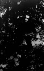 Accersitus : Ossea Cyphus - Accersitus